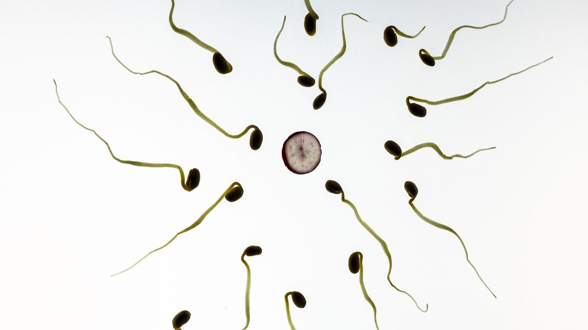 causas de infertilidade masculina